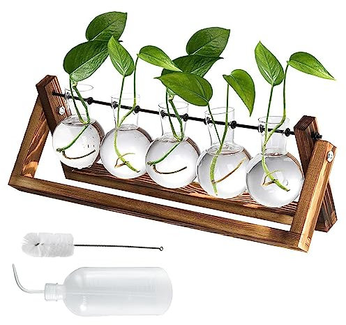 Hydroponik Glasvase, Blumenvase Hydroponische Vase Deko Holz Halter mit 150ML Wasserfüller und Reinigungsbürste, Propagation Station für Büro Haus Garten Dekor, Geschenke für Frauen (5 Vasen)