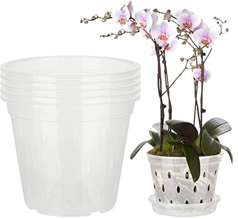 Wnvivi 5 Stück Kunststoff-Orchideentöpfe, 15 cm, Transparente Orchideen-Pflanztöpfe mit Untertassen Zum Umtopfen, Atmungsaktiver Blumen-Pflanztopf für Pflanzen Im Innen- und Außenbereich(6 In)