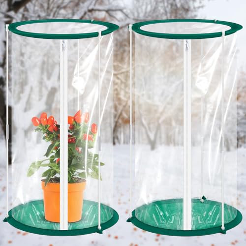 Nuanchu 2 Stück Mini Gewächshaus 19,7 x 10,2 Zoll Tragbare Pflanze Blumen Mini Gewächshaus Abdeckung PVC Klar Gewächshaus für Indoor Outdoor Gartenarbeit