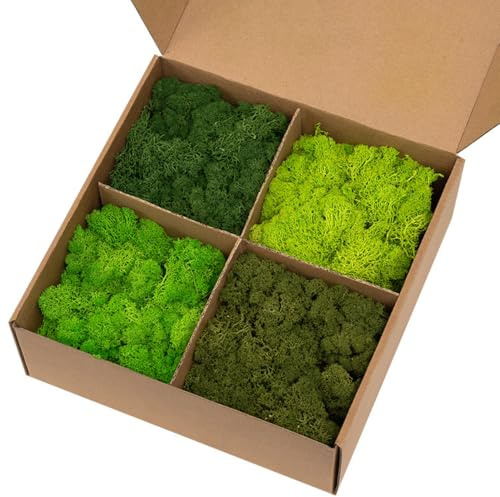 ZenceWell Preserved Reindeer Moss 400g, Decorative Moss -Forest Green | Soft preserved reindeer moss with a rich forest green tone, ideal for crafts, moss walls, displays and home décor.