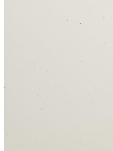 Netuno 50x cartoncino ecologico avorio formato A4 21 x 29,7 cm 240g Flora Avorio cartoncino riciclato per biglietti da visita menu biglietti augurali partecipazioni inviti bomboniere
