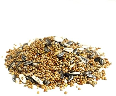 5kg Cockatiel and Parakeet Mixed Seed Cage & Aviary Bird Food