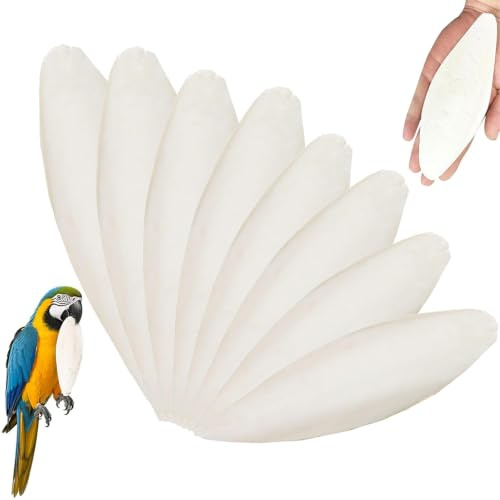 8 Stück Sepiaschale, Sepiaschalen für Vögel mit Polierter Oberfläche(8-13cm)