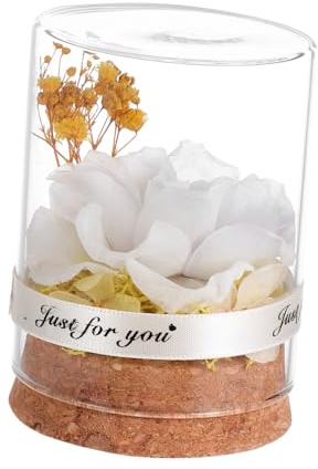 UTHCLO Regalo Rosa Stabilizzata Effetto con Cupola in Vetro Trasparente Decorazione Delicata per Camera con Base in Solido