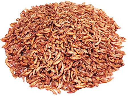 STAWA Gammarus Bachflohkrebse getrocknet, natürlicher Snack für Fische, Wasserschildkröten, Vögel, Reptilien und Nager, Zusatzfutter für Reptilien, Futter für Hühner und Wachteln, 1 kg