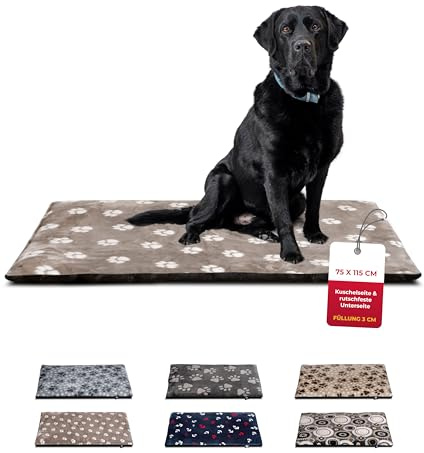 HS-Hundebett® Hundedecke L (75x115 cm) – rutschfest & gemütlich Dank 3 cm Füllung – Perfekt fürs Sofa, Auto & Hundebox – Tatze Beige, Made in DE