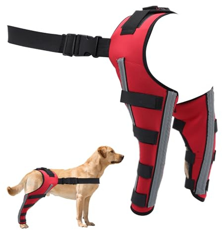 Genérico Férula de rodilla para perro, protección contra lesiones de rodilla - soporte para miembro trasero canino | para movilidad recuperación debilidad fijación entrenamiento exterior recuperación