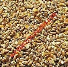 Weterton Feeds Poultry Corn with GM Free Maize and Homegrown Grain | 20 kg High Energy Scratch Feed