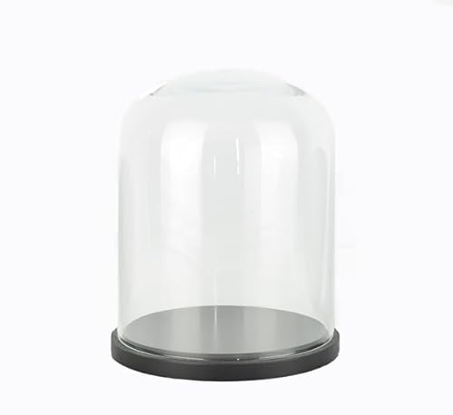 EMH Medium Glass Dome Display Cloche With Black Base 22 x 18 cm