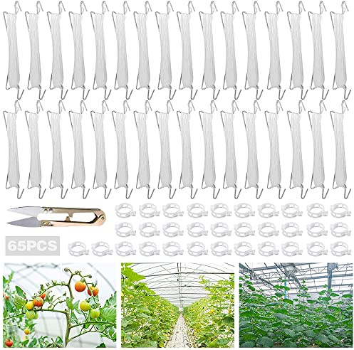 TUIBEIDAMAI Tomatenhaken mit Schnur,32 Stück Tomatenhaken Metall mit 32 Pflanzenschnalle und 15m Seil,Garden Tomato Hooks,für Hängende Tomaten und Gurken.