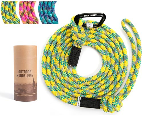 Hundeleine 3m reflektierend, komfortable Anti Zug Hundeleine für mittel & große Hunde, weiches Nylon mit gepolstertem Griff, Sicherheitskarabiner aus Aluminium, Trainings & Jogging Leine, Seeblau