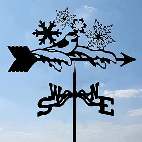 CLRAWSHB Girouette décorative pour Jardin, décoration de Cour, en Acier Inoxydable, Style rétro, Durable, indicateur de Direction du Vent, Outil de Mesure
