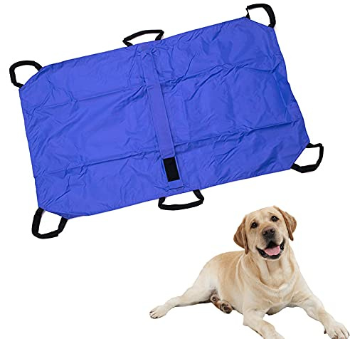 Étirement de transport pour chien, chiot de transport, accessoires de déplacement pour animaux de compagnie, aide au transport pour chat, petits chiens, sauvetage, clinique vétérinaire, maison, voyage