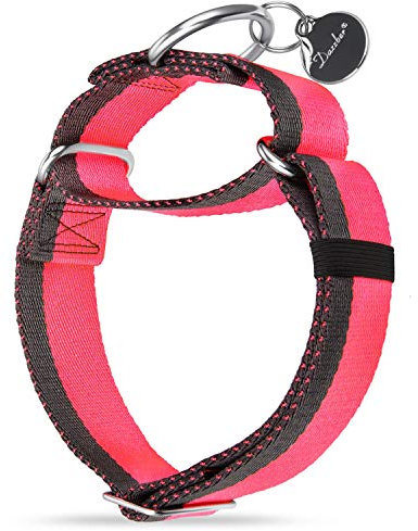 Dazzber Martingal Halsbänder für Mittel/Große Hunde 4cm Breites, Extra Starkes, Verstellbar, Hohe Farbechtheit- Nylon 2 Farbe Gestreift Weit Hundehalsband (Extra groß, 4cm Breit, Pink & Grau)