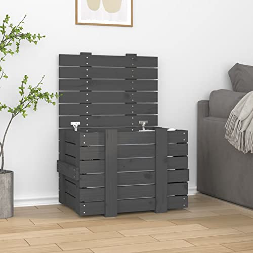 BaraSh Truhe Grau 58x40,5x42 cm Massivholz Kiefer BüCherkiste Holztruhe Truhentisch