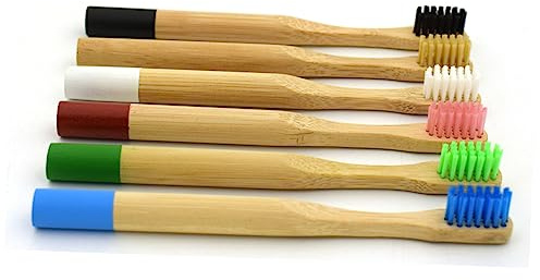 PERSELOSO Bambus-zahnbürste Mit Ergonomischem Griff Und Weichen Borsten Umweltfreundliche Holz-zahnbürste Mit Nachhaltigem Bambus-aufbewahrungstube Blau Biologisch Für Sanfte Reinigung