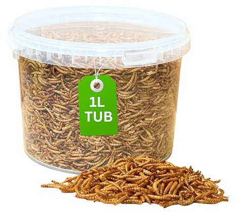 1L Tub Mealworms For Wild Bird Food - Premium High Protein Dried Mealworms for Garden Birds Treat, Natural Energy