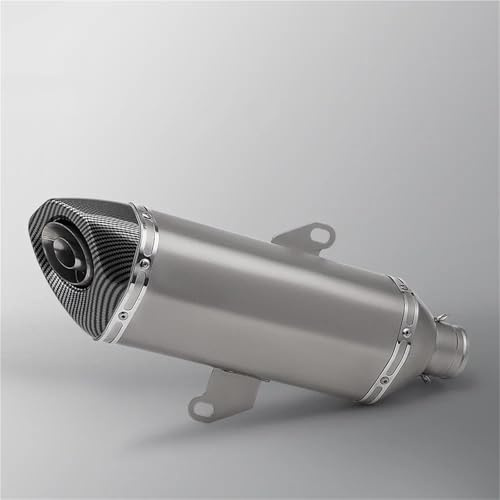 Tubos Escape Moto Silenciador De Escape para Motocicleta para para Forza 300 NSS300 NSS 300 2018-2022, Tubo De Conexión Delantero, Silenciador Enlace Tubo(Color 1)