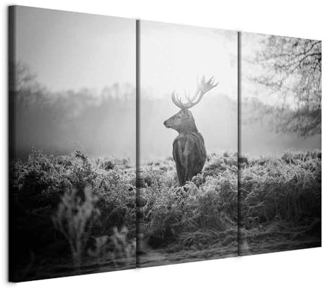 murando - Leinwandbild Natur Landschaft Tier, 120x80 cm, 3-teilig, modern | Hochwertige Leinwand, sofort aufhängbar, ideal fürs Wohn- oder Schlafzimmer, wasserfest und lichtecht, langlebig, stilvoll