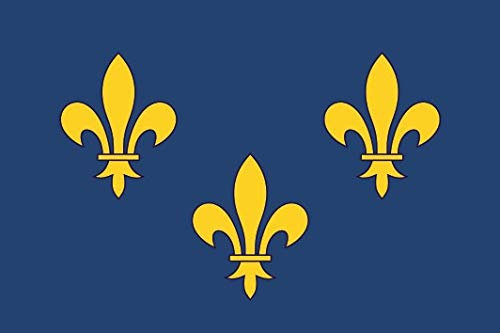 U24 Drapeau Ile de France Fleur de Lys Qualité supérieure 30 x 45 cm