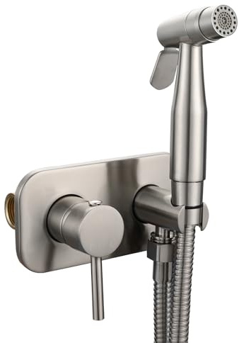Tecmolog Edelstahl Bidet Armaturen Set Unterputz mit 2 Funktionen Handbrause WC und Schlauch, Warmes und Kaltes Wasser, Nickel Gebürstet, WS024AF7