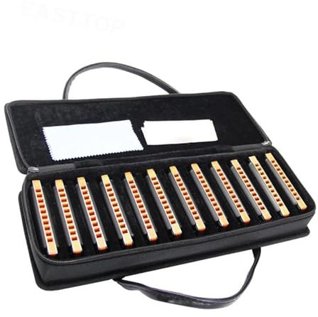 10 Löcher Diatonische Blues Mundharmonika Set Von 12 Harfen Set Für Erwachsene Profis