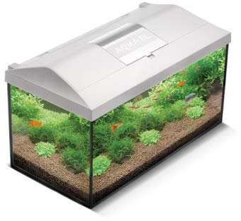 Aquael Aquarium Set Leddy LED komplett inkl. Abdeckung, Filter, Heizer, Day & Night LED (60x30x30cm) Schwarz