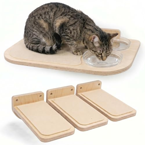 INICIO Mobili da parete per gatti, stazione di alimentazione: mensole e gradini da parete per gatti, ciotole in vetro, facili da installare, a prova di cane, moderno, in betulla, 3 livelli, 41 x 31 x