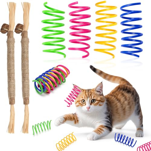 XIANGLONGY 40 Stück Katzenspielzeug Spirale + 2 Stück Katzenminze Stick, Buntes Interaktives Spielzeug für Katzen, Kunststoff Katzenspielzeug Spiralfeder, Spiralen Katzen für Haustiere zum Spielen