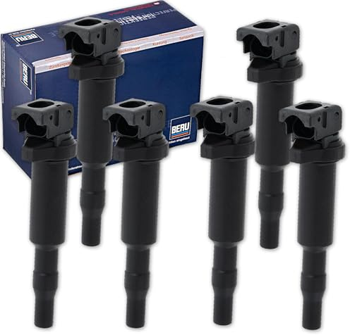 6xBERU Zündspule | 3er E46 E90 E91 E92 F30 5er E60 passend für 1er E81 E87 E88 3er E46 E90 E91 E92 F30 5er E60