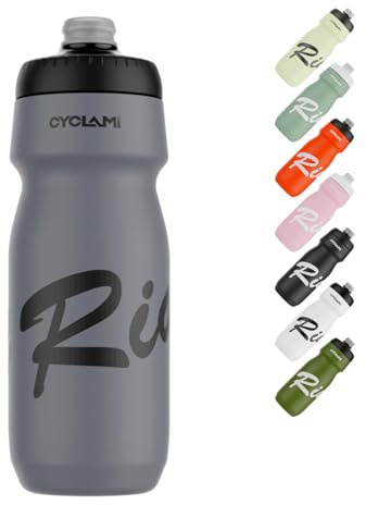CYCLAMI Borraccia Sportiva 650ml, Senza BPA, a Tenuta Stagna, Borraccia da Bici con Beccuccio a Pressione per Borraccia per Bici, Palestra, Escursionismo (Grey)