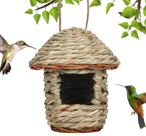 Casa para pájaros, casa de pájaros, césped al Aire Libre