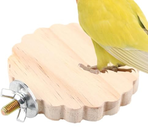 Fågelpinne för bur | leksak för att och | papegojabborre att sätta i bur - för Calopsitte Conure Ara Kanarieparid kakadua vardagsrum balkong sovrum