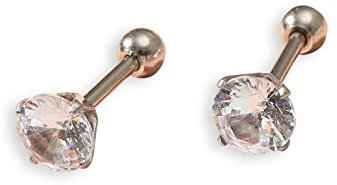 Skcess Ohringe Damen Silber, Ohrstecker Titan Stahl Weiß Runden 4 Zacken Zirkon Ohrstecker Brautschmuck