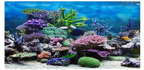 Tiiyee Aquarium Background Sticker, 61x30cm PVC Self Adhesive for Fish Tank | 3D Underwater Plant Scene, Coral Reef Ocean Forest, Waterproof Easy Clean HD Image, for Home Aquarium Decor Backing Wallpaper