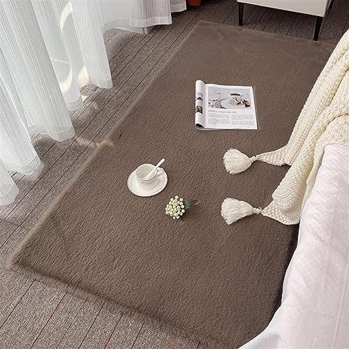 ZWPILY Hochflor Teppich, Einfarbig, Flauschiger Langflor Teppich, Shaggy Flokati, Rechteckig, Pflegeleicht, Wohnzimmerteppich - Fellteppich - Modern Kunstfell Carpet für Schlafzimmer,Braun,60x90 cm