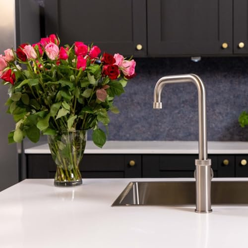 Flode Hjul | Single Lever Industrial Style Kitchen Tap | Swan Neck Design | Sleek & Modern Design Kitchen Mixer Tap (Brushed Steel)