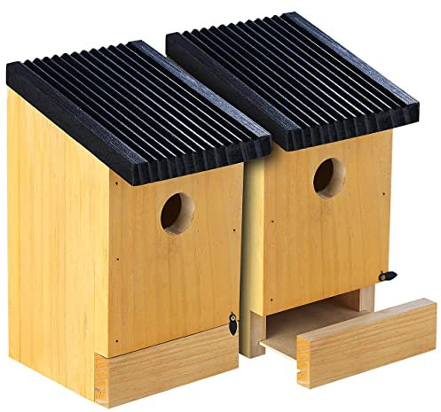 Royal Gardineer Vogel Nistkasten: 2er-Set Tannenholz-Nistkästen für Wildvögel, 22x14x12 cm, vormontiert (Nistkasten für Meisen, Vogelhaus Holz, Bausatz)