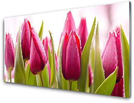 Tulup Glass Print Wall Art 100x50cm Image printed on Glass Decorative Wall Picture Tempered Safety Glass Kitchen & Living Room - Tulips Floral