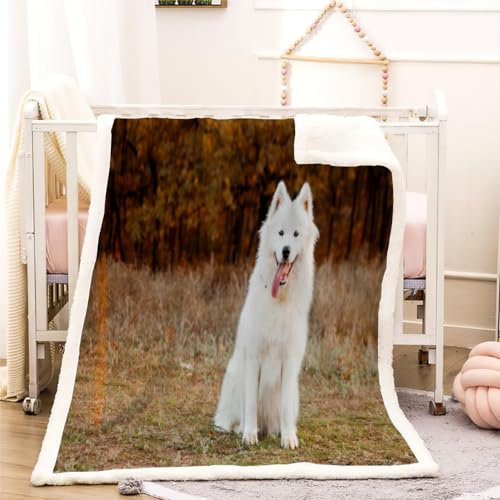 Kuscheldecke Erwachsener 150x200cm Samojede Fleecedecke Sofadecke Haustier Hund 3D Flauschig Wohndecke Warme Weiche Sherpa Decke Winter Blanket für Couch,Bett,Wohnzimmer,Schlafzimmer
