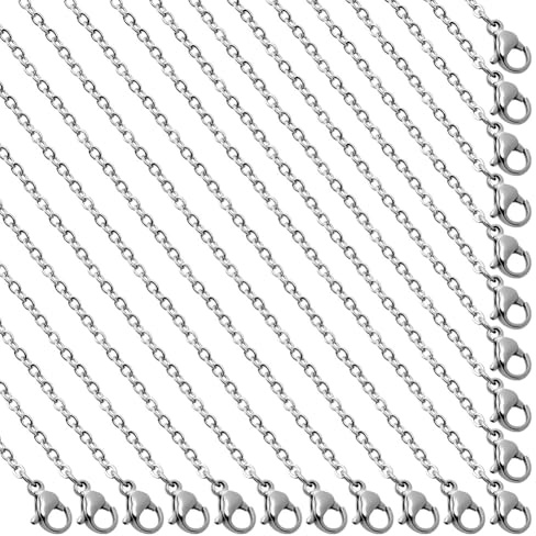 SUNNYCLUE 20 PACK 16 Inch/ 0.4m 2.5mm Stainless Steel Necklace Chain Bulk Silver Necklace Making Chains Metal Lobster Claw Clasps Chains Link for jewellery Making Supplies Women Adult Diy Necklace Cra