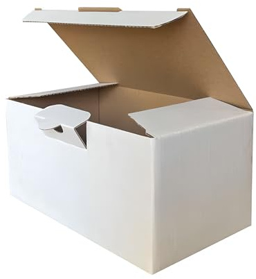 NoblesBox Folding Box 175 x 100 x 85 mm - Maxi Letter Box, Folding Box for Mailing, Postal, Book Sending, Rectangular, Sturdy, White, Shipping Box (25)