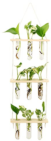 MISNODE Maceta colgante de pared, 9 tubos de ensayo, kit de maceta de terrario con soporte de madera, estación de propagación, jarrón de vidrio para plantas hidropónicas, caqui