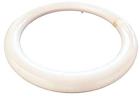 Shop SoftAir® Circolina Led Consumo 19W Corrispondenza 120W diametro 30cm 1950LM Lumen Luce Bianco Naturale 4000k Calda 3000k Fredda 6500k Attacco G10Q T9 (Luce Fredda 6500k)