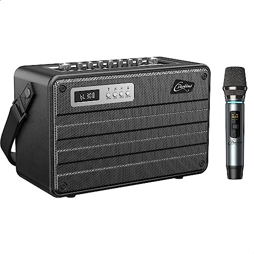 C.Perkins - ROADY-FL - Das professionelle 100W batteriebetriebene ALL-IN-ONE mit 1 drahtlosen UHF-Mikrofon und einer Reihe von Funktionen - Bluetooth, USB, Klinke, Micro-SD - Schwarzes Leder