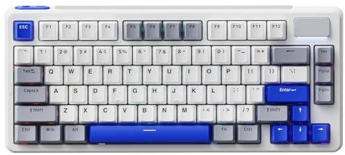 Rapoo V700DIY-75 Teclado Gaming Inalámbrico Mecánico 75% para Pc/Mac,Blanco | BT5.0/2.4GHz/Cableado,Hot-Swap,Interruptor Lineal Speed Silver,Montaje Gasket,Sonido Cremoso,16.8M RGB Por Tecla y NKRO