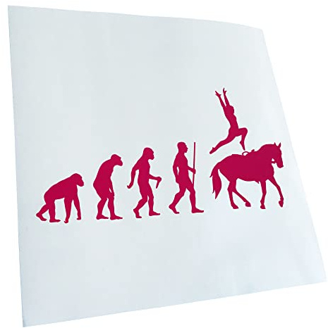Kiwistar - Autocollant - Evolution pour dressage - pink - G24 - Pour voitures, vélos, véhicules, motos, cyclomoteurs, tuning, vitres arrière