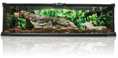 Swell Reptiles Glass Terrainium Kit 50cm x 30cm x 15cm