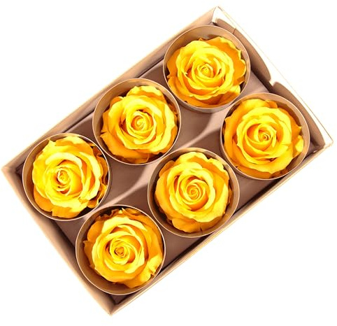 Echte Infinity Rosenköpfe, konserviert, 5-6 cm Durchmesser, 6 Stück, haltbar bis zu 3 Jahren, für Basteln, Sträuße, Kränze, Hochzeiten, Valentinstag, Muttertag, Weihnachten (Gelb)