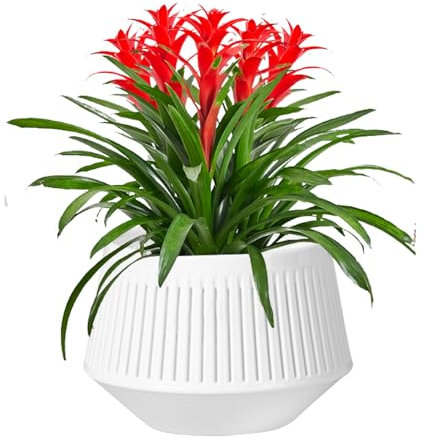 Pots à orchidées avec trous – Pot à orchidée respirant | Double couche respirant contrôle des racines pour culture hydroponique, arrosage, humidité, sphaigne, mousse vivante, vivantes, violet